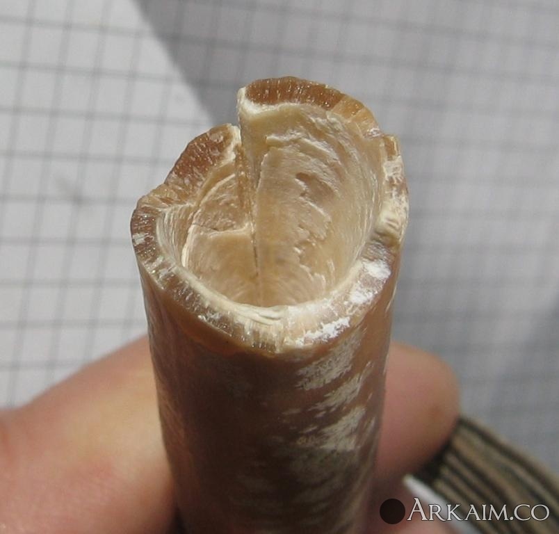 post-1142-0-54541700-1498036873_thumb.jpg