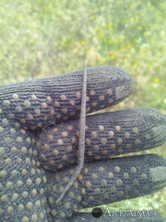 post-1292-0-70485100-1498105317_thumb.jpg
