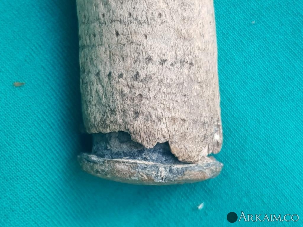 post-1600-0-63863400-1564514694_thumb.jpg
