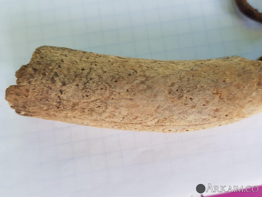 post-1600-0-75790100-1564349750_thumb.jpg