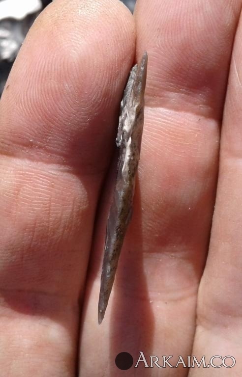 post-1142-0-04405300-1626867404_thumb.jpg