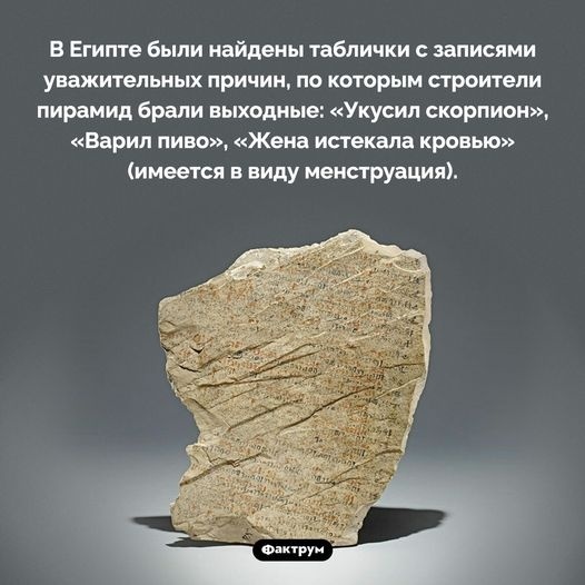 post-3-0-08512500-1692537637_thumb.jpg