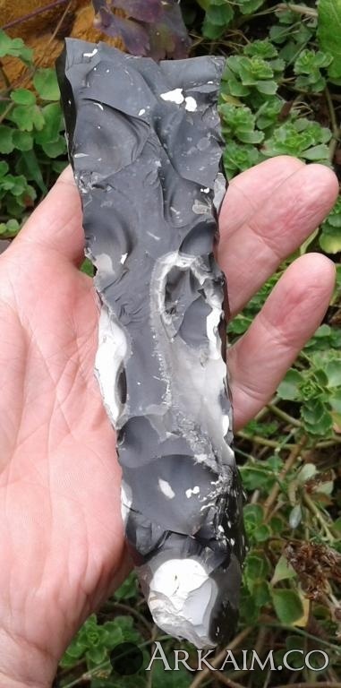 post-1142-0-44389900-1601423510_thumb.jpg