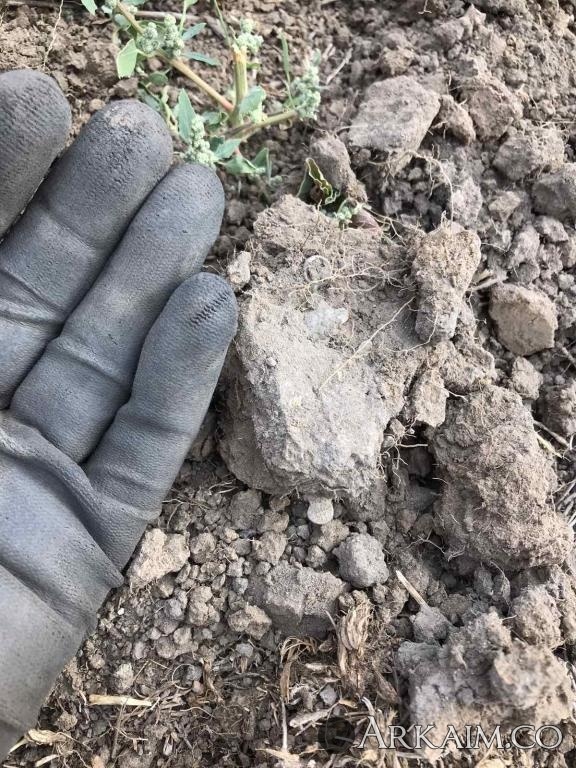 post-2165-0-83858000-1599359424_thumb.jpg