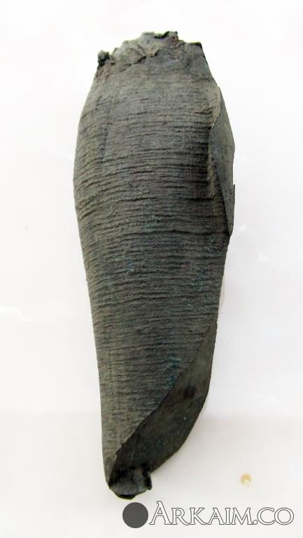 post-23-0-59814600-1631435509_thumb.jpg