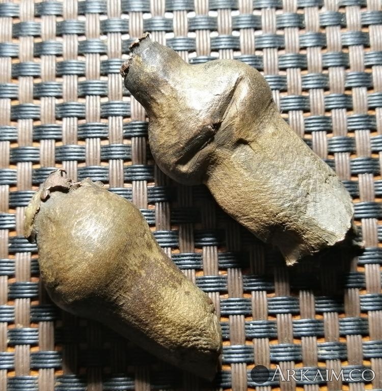 post-6-0-76529400-1631441008_thumb.jpg