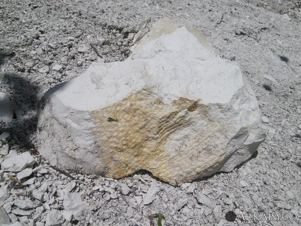 post-1142-0-41184600-1540998073_thumb.jpg