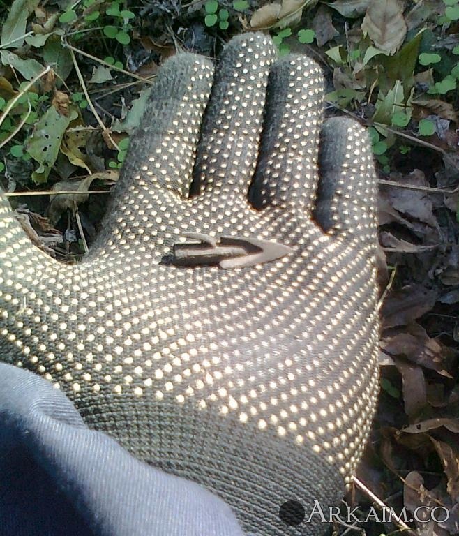 post-23-0-08704300-1539538888_thumb.jpg