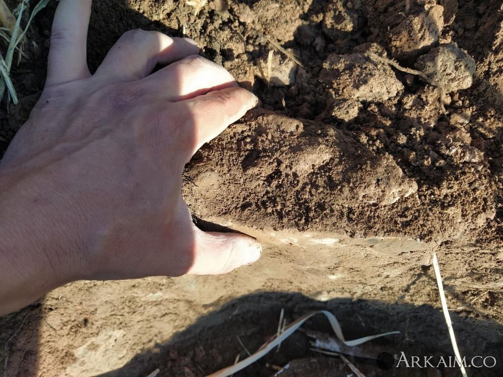 post-2304-0-58863200-1634162722_thumb.jpg