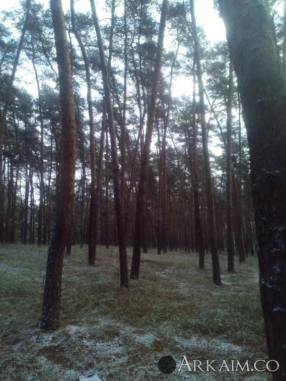 post-1292-0-63409900-1478098836_thumb.jpg