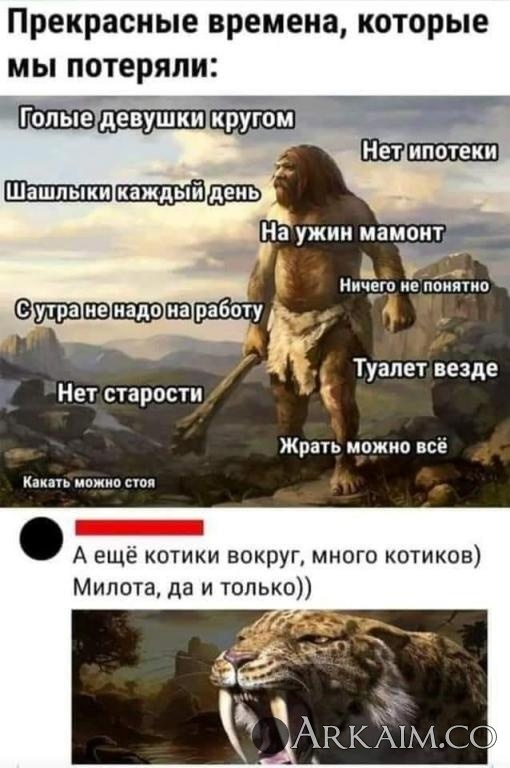 post-3-0-02704400-1636455811_thumb.jpg