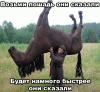 post-31-0-76110300-1356901561_thumb.jpg