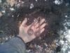 post-44-0-86966500-1356071828_thumb.jpg