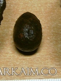 post-10-0-38946100-1451502738_thumb.jpg