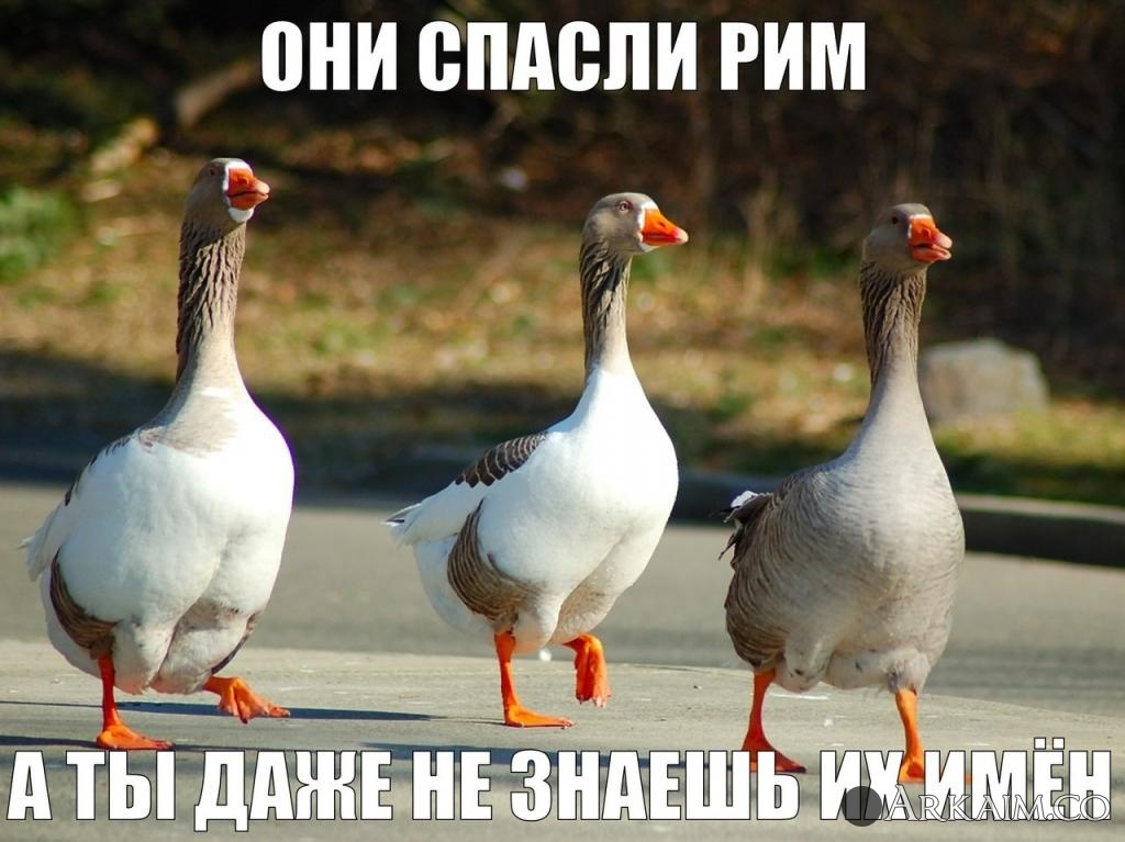post-3-0-22087000-1450649036_thumb.jpg