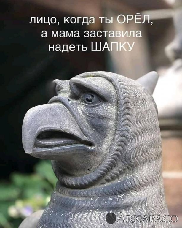 post-3-0-34991400-1576100582_thumb.jpg