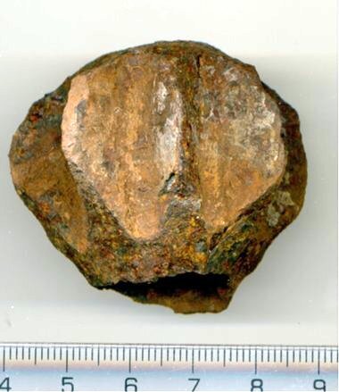 Pernach2_001_500